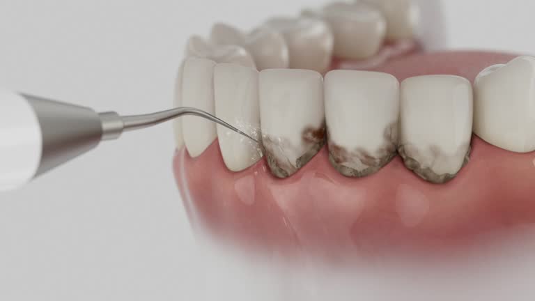 Reliable Dental contractor in Parole, MD by Dentist Open Now